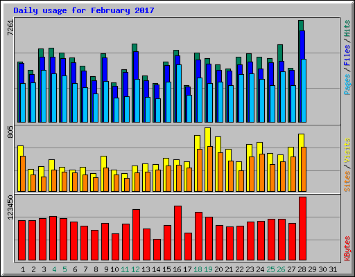 Daily usage for February 2017