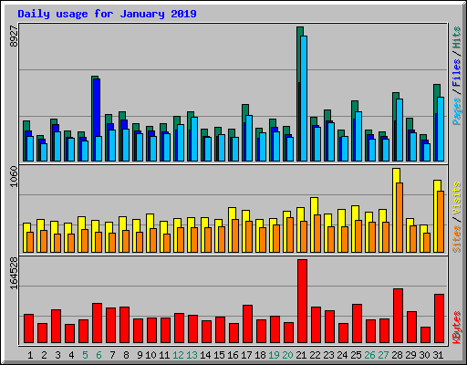 Daily usage for January 2019