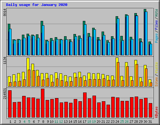 Daily usage for January 2020