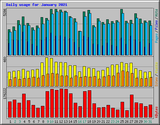 Daily usage for January 2021