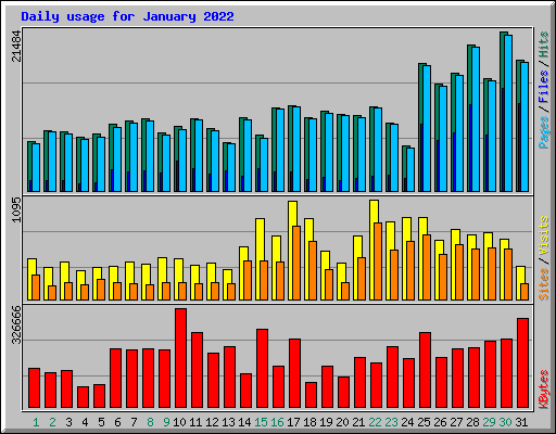 Daily usage for January 2022