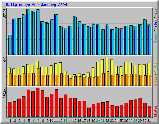 Daily usage for January 2024