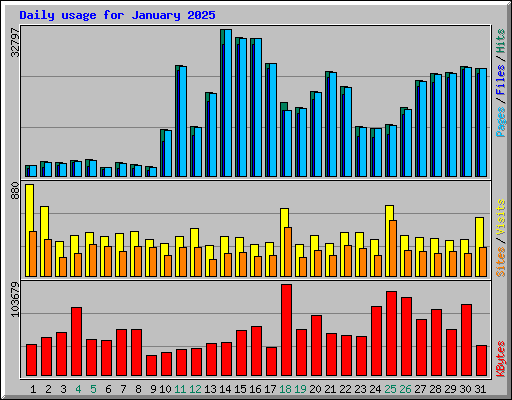 Daily usage for January 2025