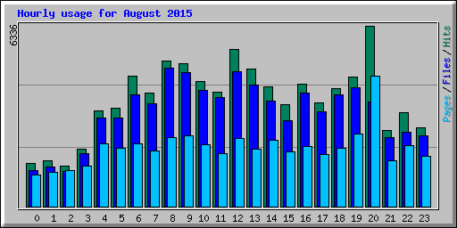 Hourly usage for August 2015