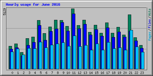 Hourly usage for June 2016