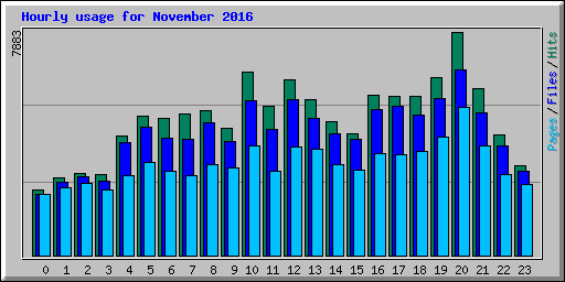 Hourly usage for November 2016