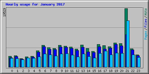 Hourly usage for January 2017