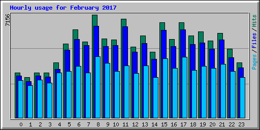 Hourly usage for February 2017