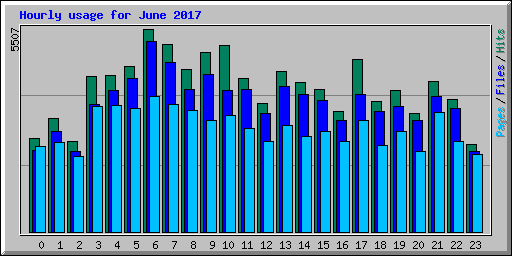 Hourly usage for June 2017