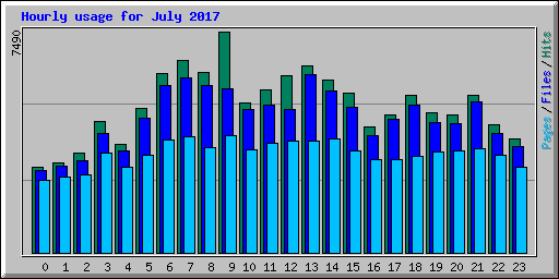 Hourly usage for July 2017