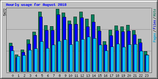 Hourly usage for August 2018