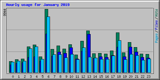 Hourly usage for January 2019