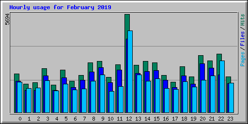 Hourly usage for February 2019