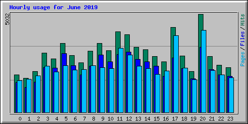 Hourly usage for June 2019