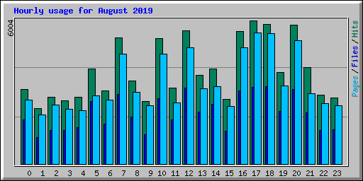 Hourly usage for August 2019