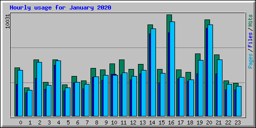 Hourly usage for January 2020