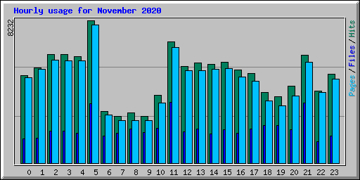 Hourly usage for November 2020