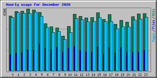 Hourly usage for December 2020