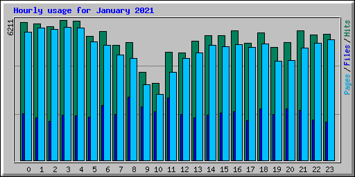 Hourly usage for January 2021