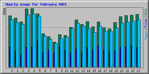 Hourly usage for February 2021