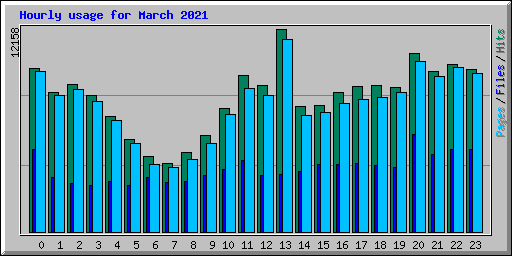 Hourly usage for March 2021