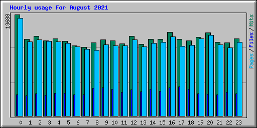 Hourly usage for August 2021