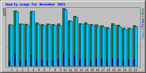 Hourly usage for November 2021