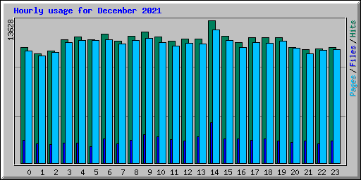 Hourly usage for December 2021