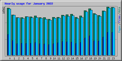 Hourly usage for January 2022