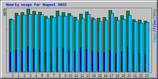 Hourly usage for August 2022