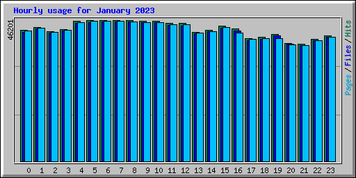 Hourly usage for January 2023