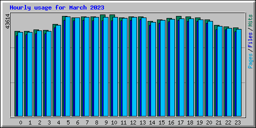 Hourly usage for March 2023