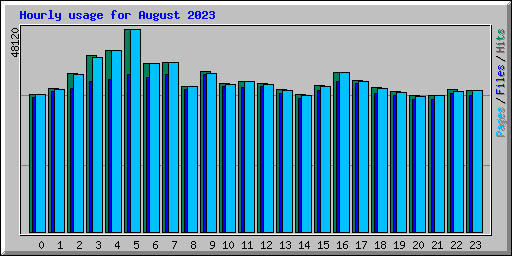 Hourly usage for August 2023