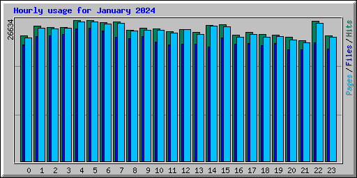 Hourly usage for January 2024