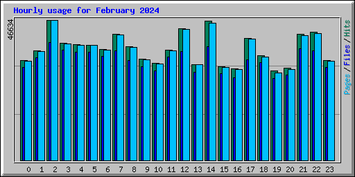 Hourly usage for February 2024