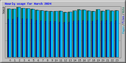 Hourly usage for March 2024