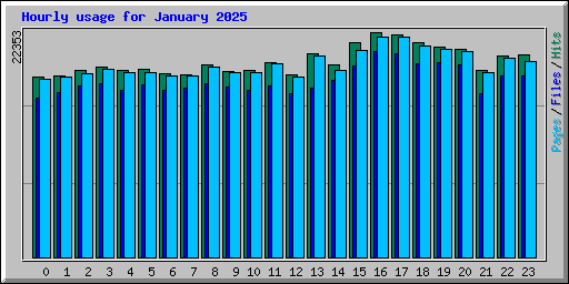 Hourly usage for January 2025