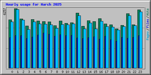 Hourly usage for March 2025