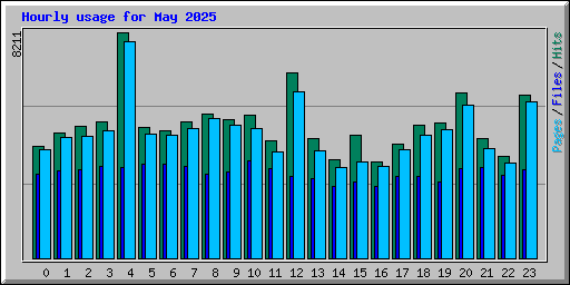 Hourly usage for May 2025