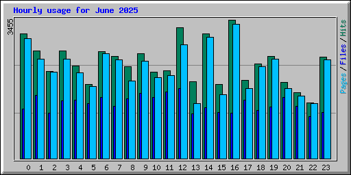 Hourly usage for June 2025