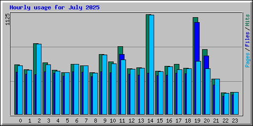 Hourly usage for July 2025