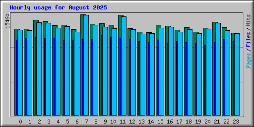 Hourly usage for August 2025