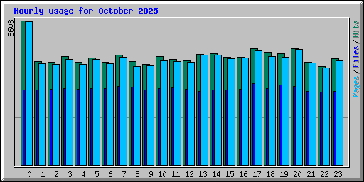Hourly usage for October 2025