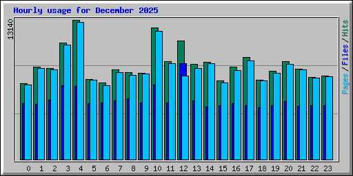 Hourly usage for December 2025