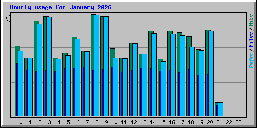 Hourly usage for January 2026