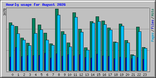 Hourly usage for August 2026